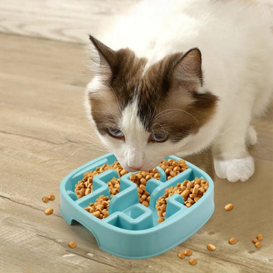 Gamelle pour chat anti glouton - Transportdodochat