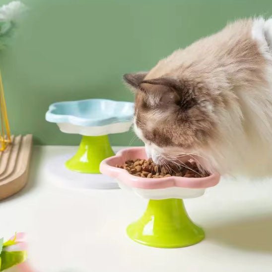 Gamelle chat - Pétale de Délice™ - Transportdodochat