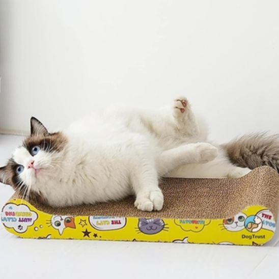 Griffoir a chat | Le Berceau à Griffes™ - Transportdodochat