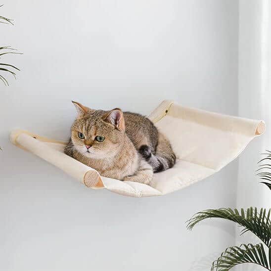 Hamac chat mural chat reposant