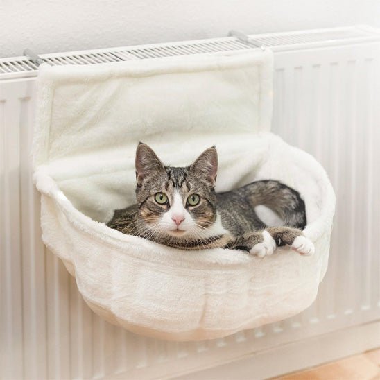 hamac chat pour radiateur blanc chat curieux