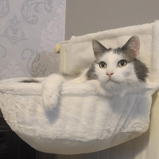 hamac chat pour radiateur blanc chat détendu