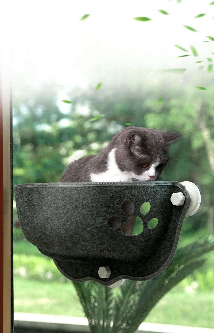 hamac pour chat fenêtre chat concentré