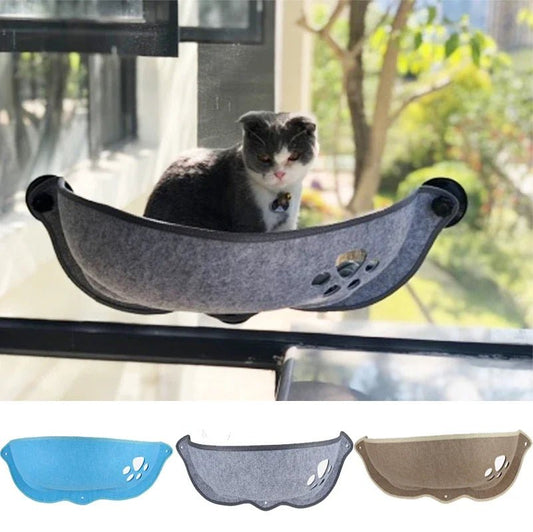 hamac pour chat fenêtre gris chat heureux