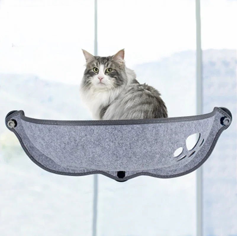 hamac pour chat fenêtre gris chat observateur