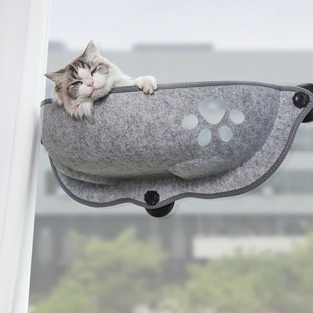 hamac pour chat fenêtre gris chat relaxe