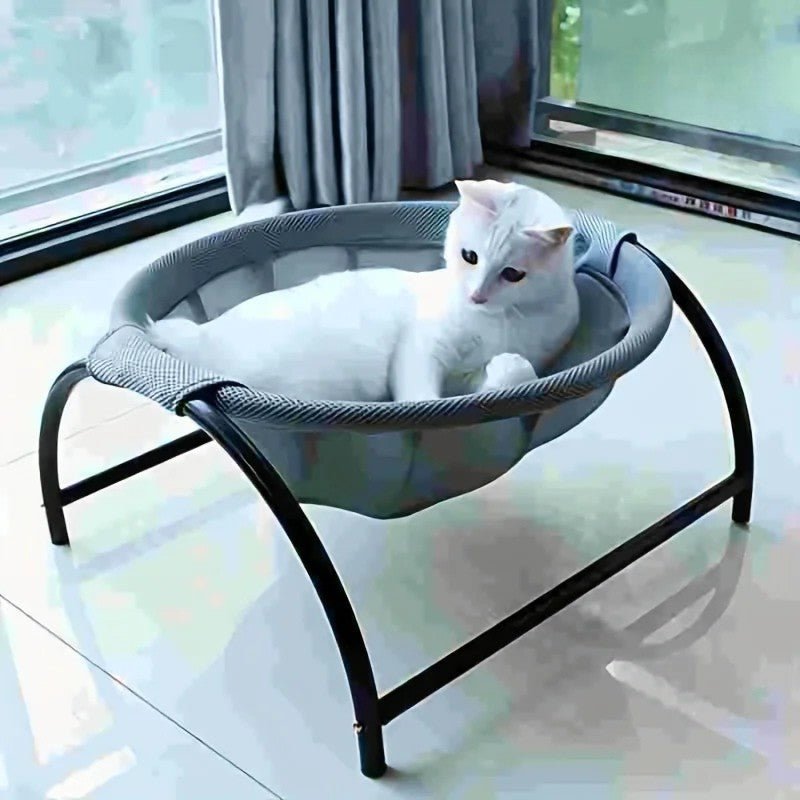 hamac pour chat sur pied chat curieux