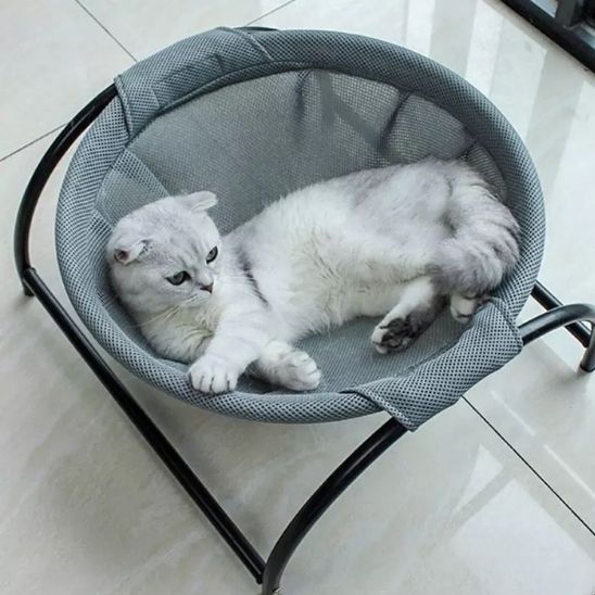 hamac pour chat gris sur pied chat détendu