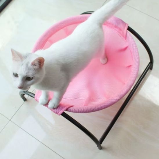hamac pour chat sur pied rose chat actif
