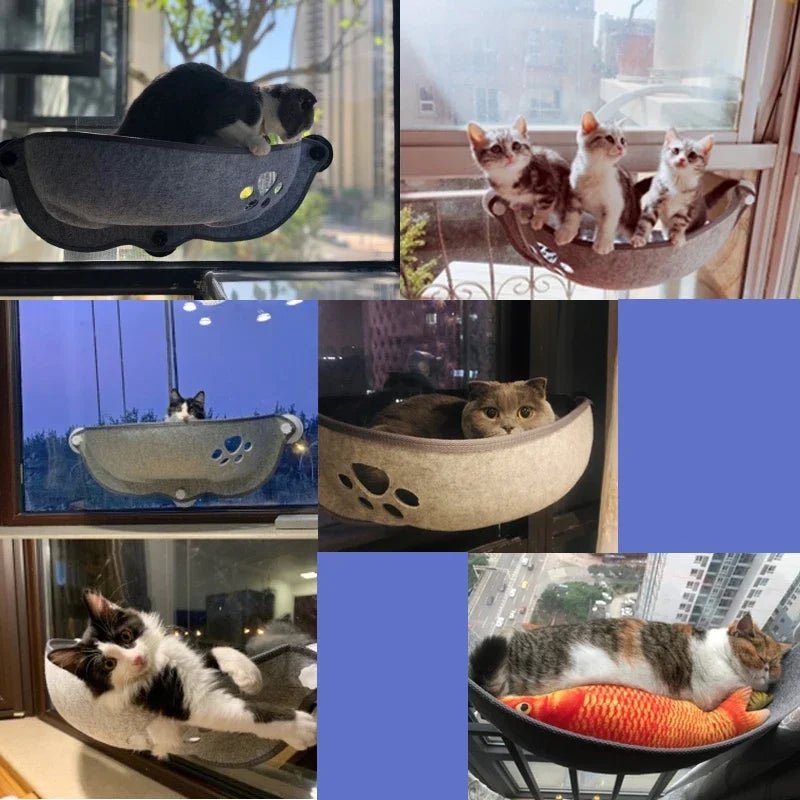 hamacs pour chat fenêtre