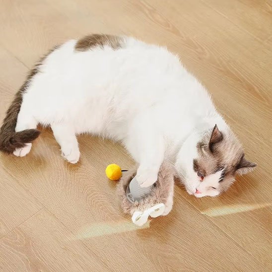 jouet chat interactif gris chat dodo avec jouet