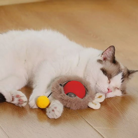 jouet chat interactif rouge chat dodo