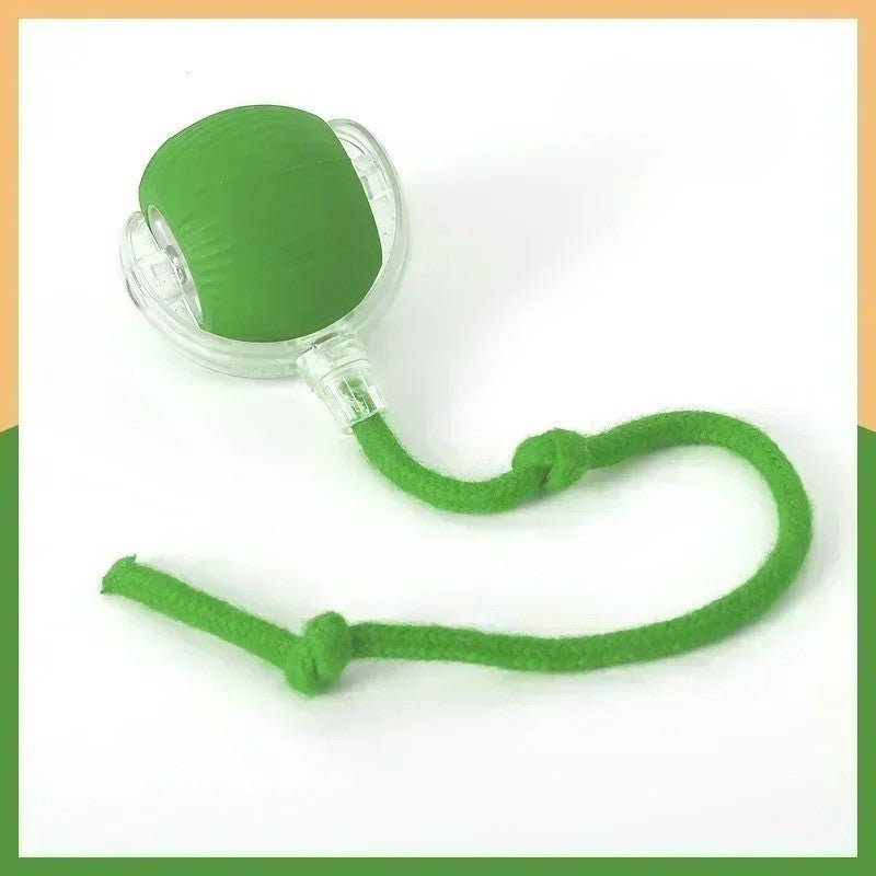 Jouet pour chat | CrazyMiaouâą - Transportdodochat