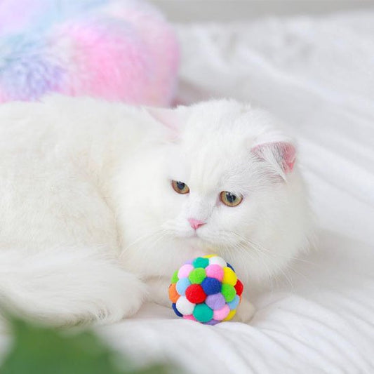 jouet pour chat multicolore chat au repos