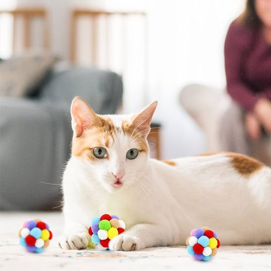 jouet pour chat multicolore chat avec balle entre les pattes