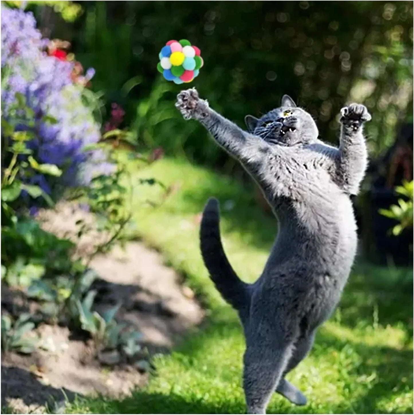jouet pour chat multicolore chat joue dehors