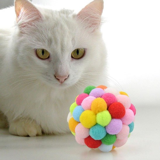 jouet pour chat multicolore chat se repose
