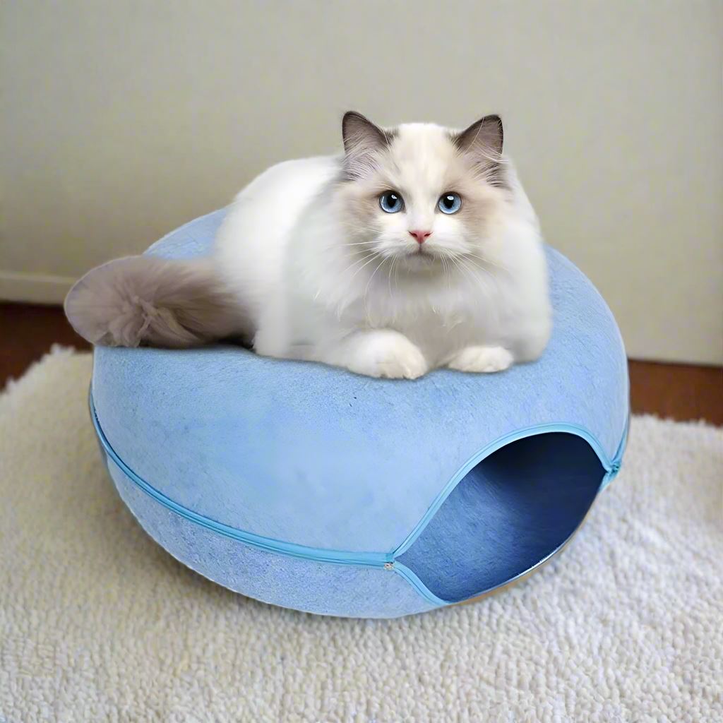lit pour chat bleu chat se repose