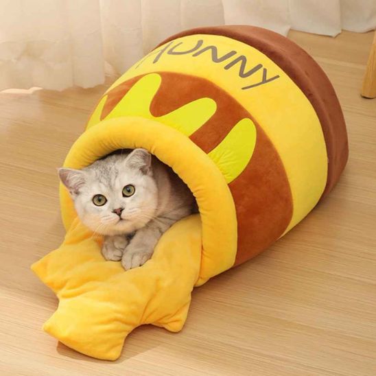lit pour chat-chat éveillé