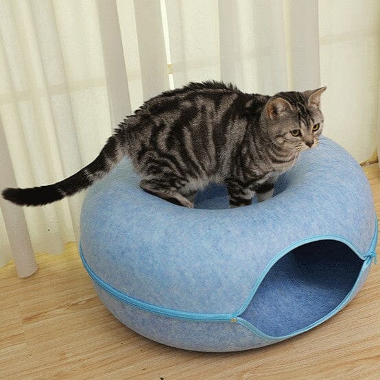 lit pour chat donut bleu chat observe