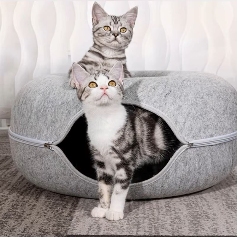 lit pour chat gris clair chats alertes