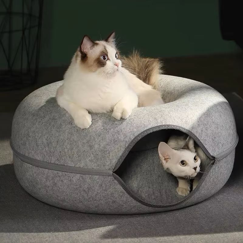 lit pour chat gris clair chats repos