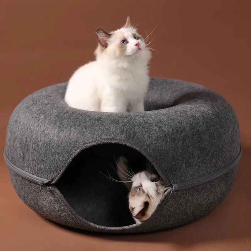 lit pour chat gris foncé chats détendus