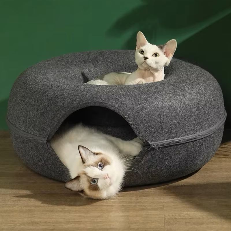 lit pour chat gris foncé chats relaxent
