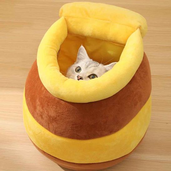 lit pour chat jaune chat curieux