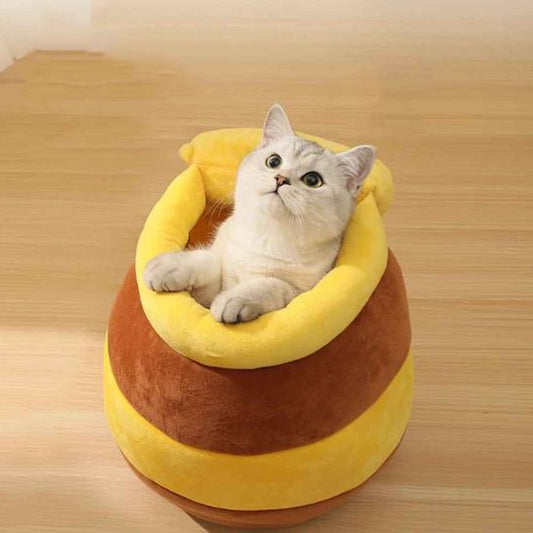 lit pour chat jaune chat enjoué