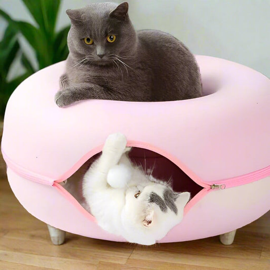 lit pour chat rose chat détendu dessus