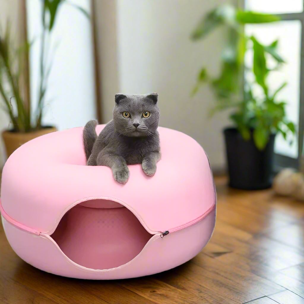 lit pour chat rose chat repos