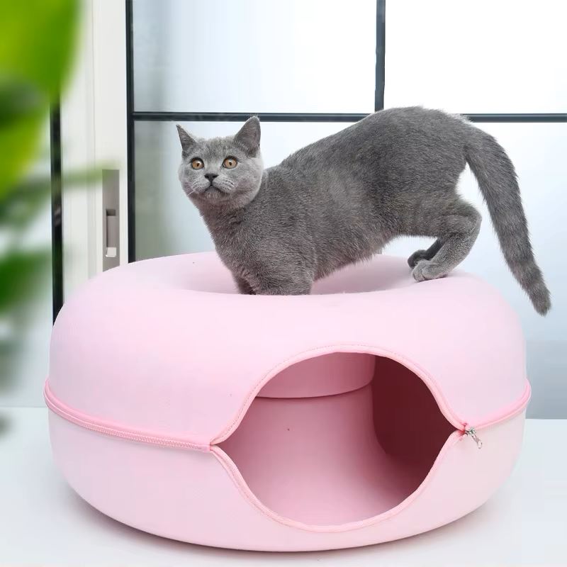 lit pour chat rose chat surveille