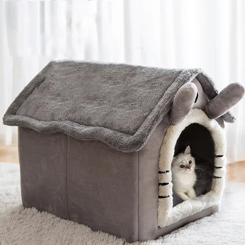 maison chat grise chat alerte