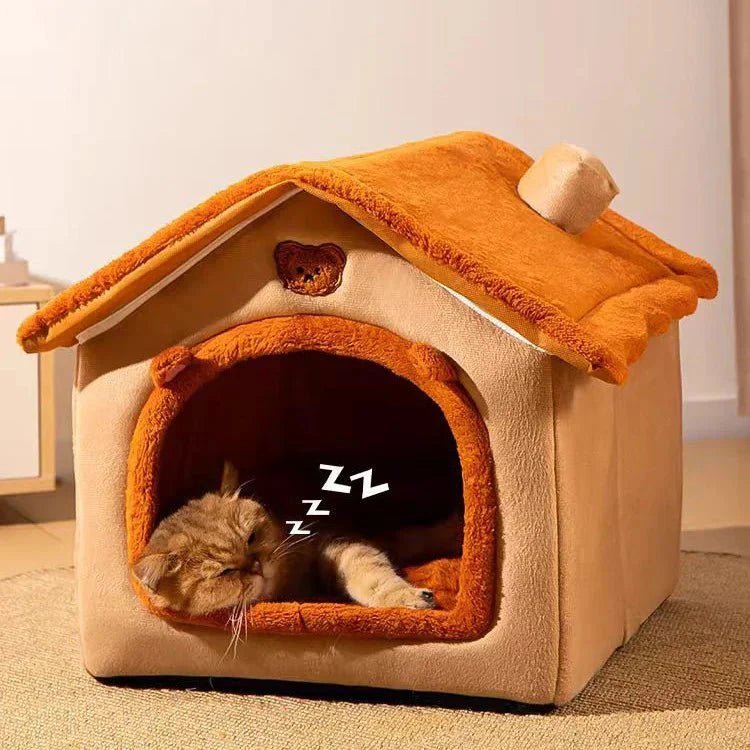 maison chat orange chat dodo