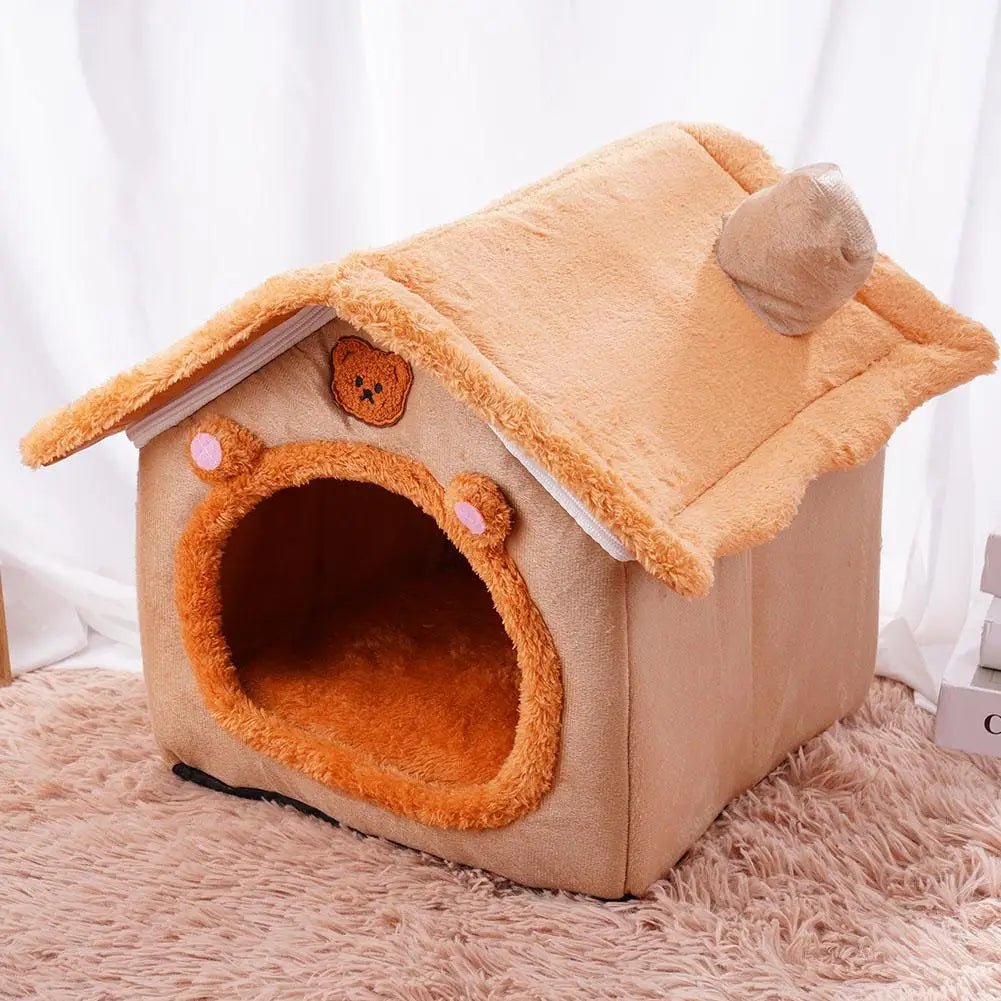 maison chat orange