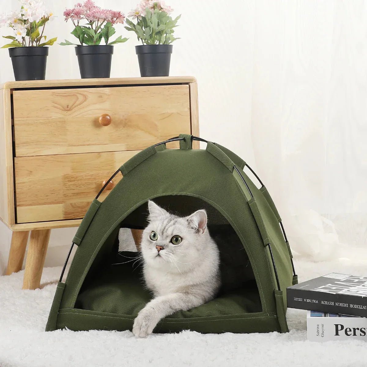 niche à chat vert militaire chat relaxe