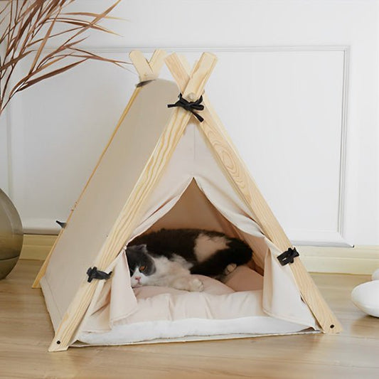 Niche chat Tipi chat détendu