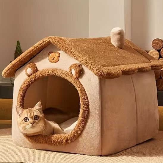 niche pour chat-chat calme