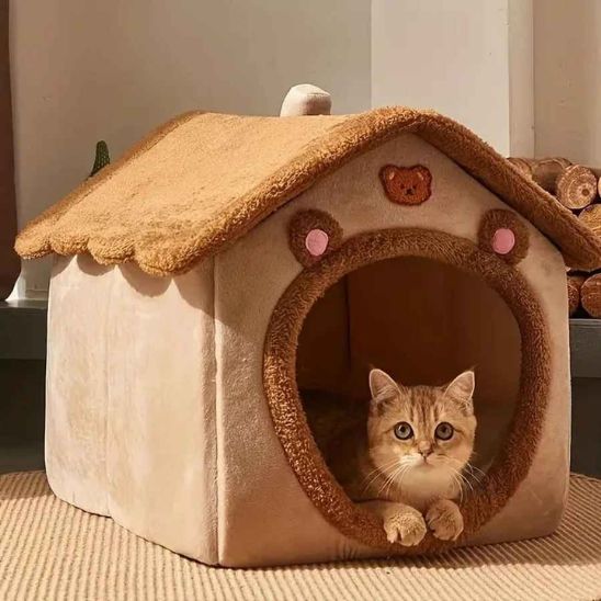 niche pour chat chat détendu