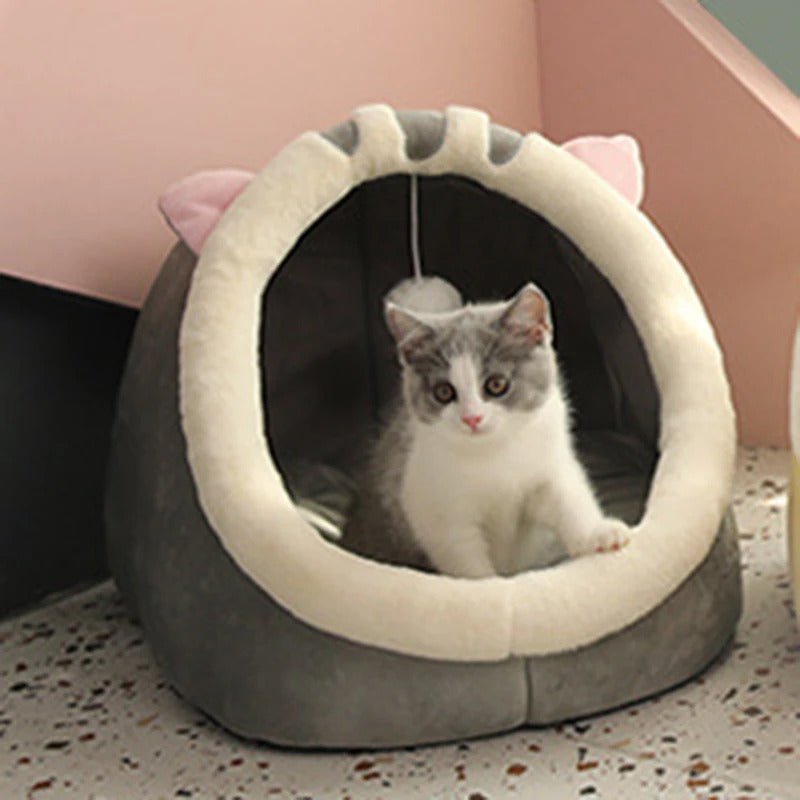 panier pour chat-chat confortable