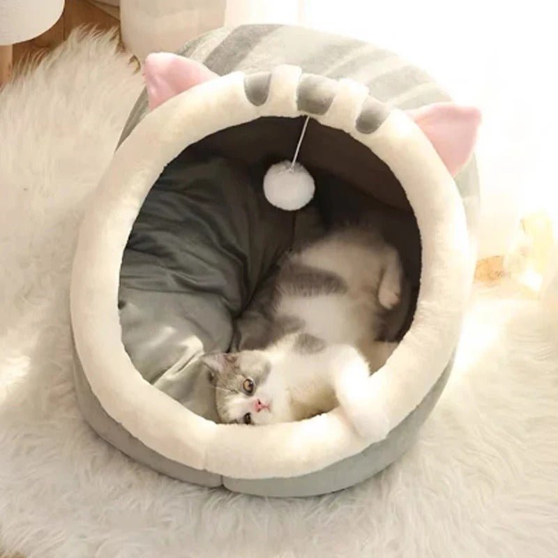 panier pour chat-chat relaxe