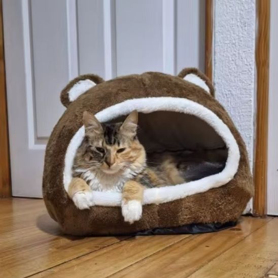 Panier pour chats - L'Antre Câlin™ - Transportdodochat