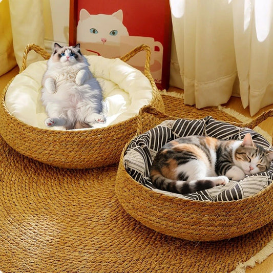 panier chat chats au repos