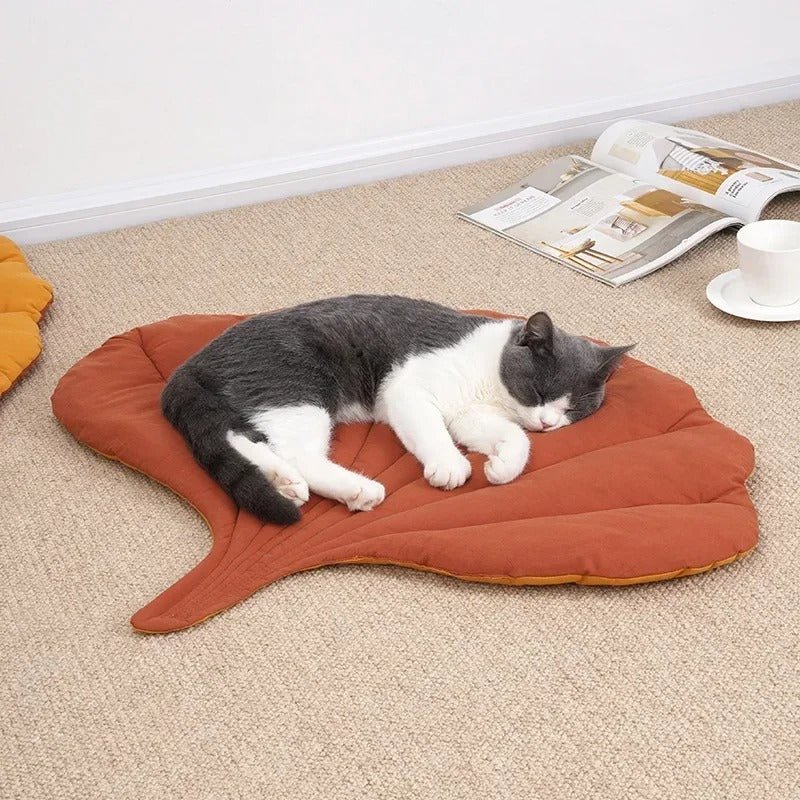 Tapis chat - Feuille de Rêve™ - Transportdodochat