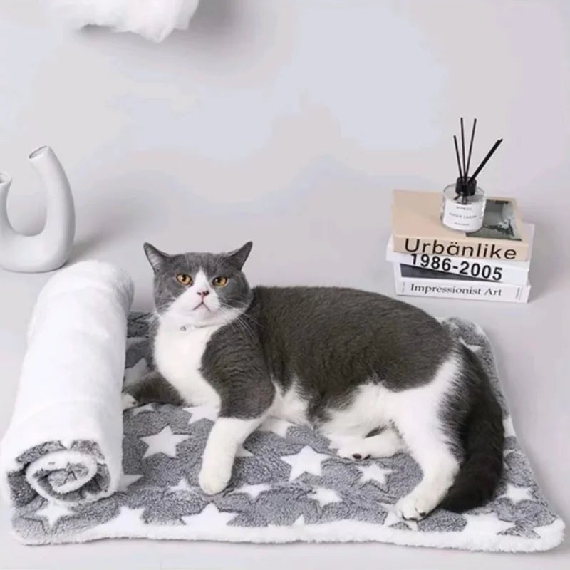 Tapis chat - Nuage - Miaouâą - Transportdodochat