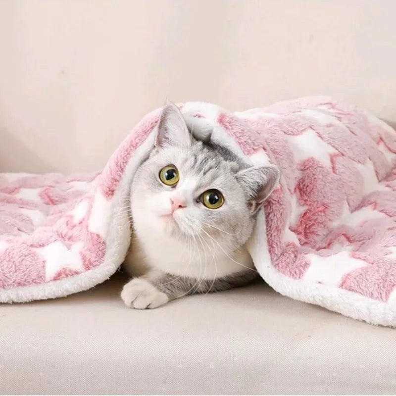 Tapis chat - Nuage - Miaouâą - Transportdodochat
