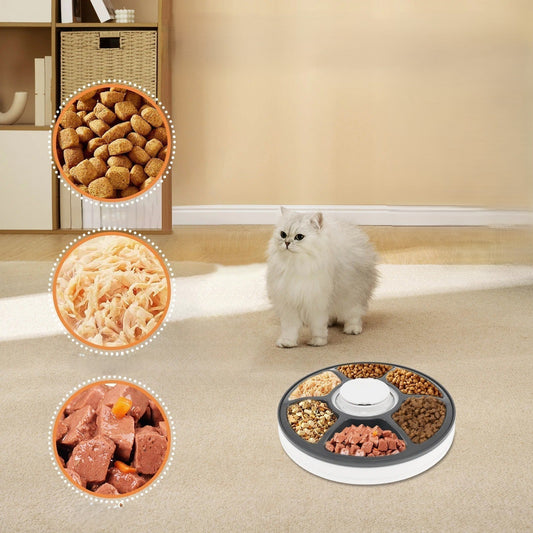 Choisir un meilleur distributeur de nourriture pour chats - Transportdodochat