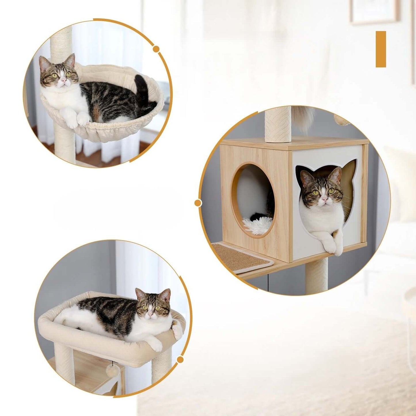 Arbre a Chat en Bois | La Tour Des Moustaches™ - Transportdodochat