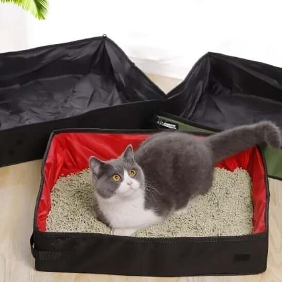 Bac à litière chat rouge chat aux toilettes